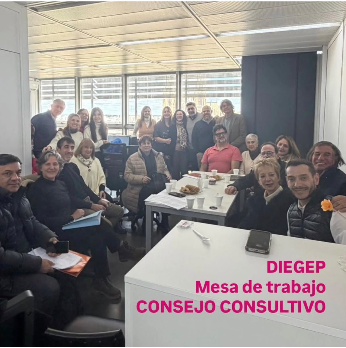 Consejo Consultivo